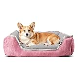 PETCUTE Cuccia per Cane da Interno Cuccia Gatto sfoderabile Cuccia Cane Morbida Lavabile Materassino Cane Taglia Piccola Media Grande
