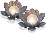 Abmessungen (D x H): 27,0 x 9,0 cm - Kugeldurchmesser: ca. 10,0 cm - Schutzart: IP44 - Material: Blütenblätter aus Metall, Bruchglaskugel aus Echtglas - Akku: 1 x 1,2V/300 mAh (AAA Micro)