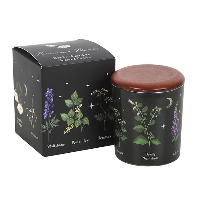 Deadly Nightshade Candle | Gothic Botanica | 28-Hour Burn Time
