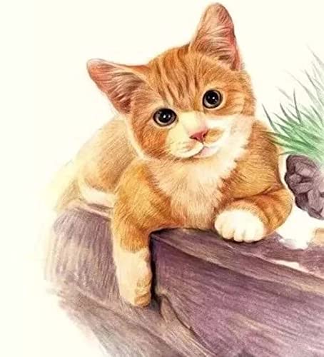 Peinture au diamant 5D chaton broderie strass complet 30x40 cm