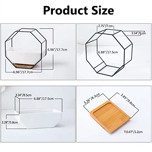 Ivolador Modern Wall Planter, Metal Wire Octagon Design Wall-Mounted Shelves With Ceramic Flower Pot, Air Plant Container Hanging Vase Desktop Succulents Planter-Black #TOP5