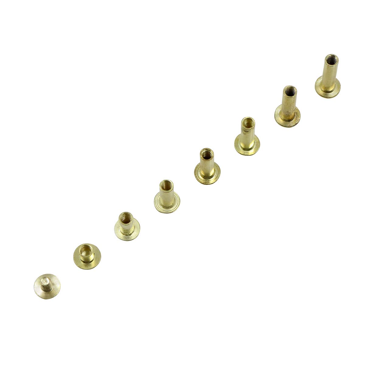 Viti per Rilegatura Chicago ottone - 80 Pezzi 8 misure M5 x 6-20 mm, chiodi rivetti a vite in metallo chiodo, pulsante con testa croce, kit di cintura pelle, chiodi, portafoglio, decorazione libri