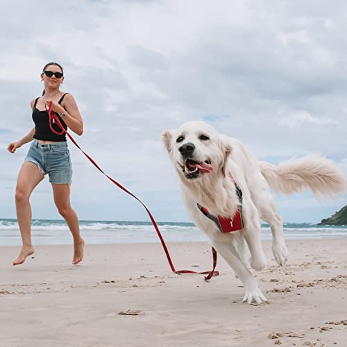 Ezydog Track And Train Premium Dog Leash thumb #4