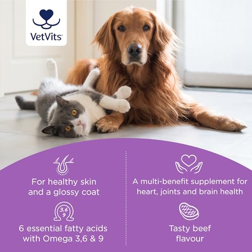 Vetvits Omega Skin & Coat For Cats & Dogs (60 Capsules) | Beef Flavoured | Shinier Coat, Healthier Pet | Omega 3 and 6 Blend | Supports Skin, Coat, Joints, Brain and Heart - Image 2