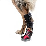 Strap-On Drop Foot Brace (No Knuckling Boot Brace) for Dogs— Dog Knee Pads,Corrective Dog Shoes to Safely Lift Toes for Foot Issues, Arthritis, and improving Walking gait in Dogs(L)