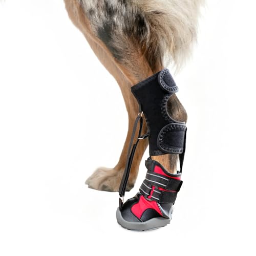 Strap-On Drop Foot Brace (No Knuckling Boot Brace) for Dogs— Dog Knee Pads,Corrective Dog Shoes to Safely Lift Toes for Foot Issues, Arthritis, and improving Walking gait in Dogs(L)