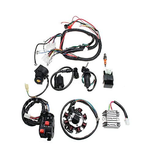 Kit complet de Stator CDI de faisceau de câblage électrique Baceyong pour ATV QUAD 150/200/250CC