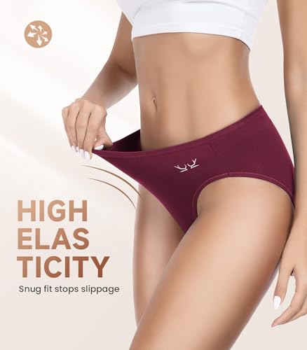 Womens Cotton Underwear, Hi-Cut Soft Breathable Briefs, Ladies Stretch Underwear Panties 5 Pack Regular & Plus Size3