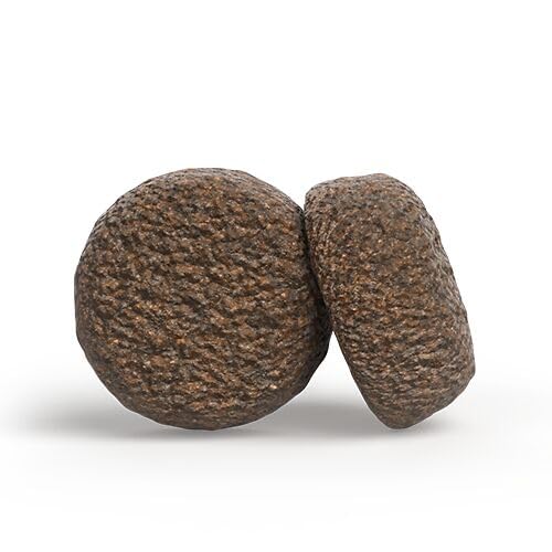 JOSERA Adult Hypoallergenic (1 x 3 kg) | Premium Trockenfutter für Erwachsene Hunde mit Unverträglichkeiten | Insekten als einzige tierische Proteinquelle | getreidefrei | hochverdaulich | 1er Pack