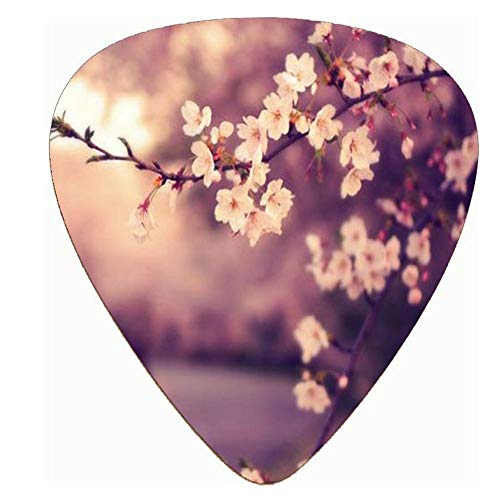 Dmsc . Belle qualité supérieure Fleur Meilleure celluloïd Plastique votres Guitare Médiator Moyen Calibre 0.71mm / 0… - Les Beatles, Paul McCartney, John Lennon, RIngo Starr, George Harrison Dmsc . Belle qualité supérieure Fleur Meilleure celluloïd Plastique votres Guitare Médiator Moyen Calibre 0.71mm / 0…