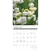 Willow Creek Press, Flowers 2026 Wall Calendar, 12'' X 12'', 18-Month Calendar with Stapled Binding