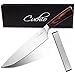 Cuchio German 8 Inch Chef Knife, Sharpening Stone & Gift Box: Kitchen Knife That Stay Sharp Longer! High Carbon Stainless Steel Blade for Meat, Fish & Vegetables, Pro Chefs Ergonomic Pakkawood Handle