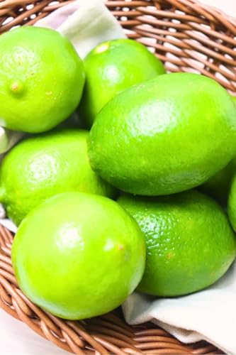 【メキシカンライム】1kg 10個程 メキシコ産 フレッシュ fresh limes ライム フレッシュ 美味しいとこどり mexico 綺麗な 業務用 纏めて ライムサワー ジントニック カクテル エステニック料理 酸味 柑橘 爽やかな香り FRESH
