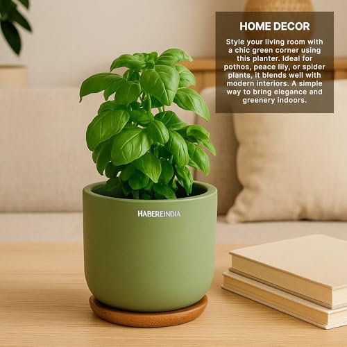 Image of Habere India-All the Cultures Fabricating India Plant Pot with Wooden Plate | Flower Pots for Dining Table & Home Decor | Terracotta Pot for Living Room Decoration (Green, Dia11 x H9.5 cm)