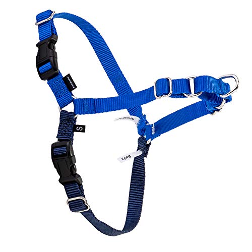 [ ybgZ[t ] Petsafe p n[lX C[W[EH[N ^`^ L TCY Easy Walk Harness L EWH-HC-L-RYL Cu[/lCr[ Royal Blue U g[jO ybg  [sAi