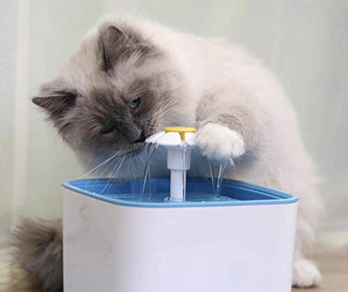 Fuente de agua para gatos y perros con 3 filtros de carbón miniatura 4