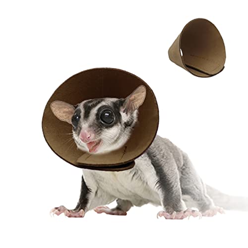 Image of E Collar for Sugar Gliders Small Pet Recovery Collar Protective Collar After Surgery for Sugar Glider