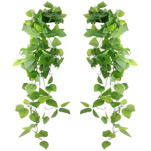 iPobie 2 Piezas Plantas Colgantes Artificiales,Plantas Colgantes Hiedra Verde Artificial,Exuberantes Hoja de Eneldo Verde Pared Colgante,para Bodas,Jardines,decoración de Paredes