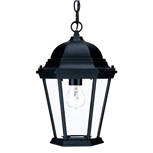Acclaim 5206Bk Richmond Collection 1-Light Outdoor Light Fixture Hanging Lantern, Matte Black #TOP1