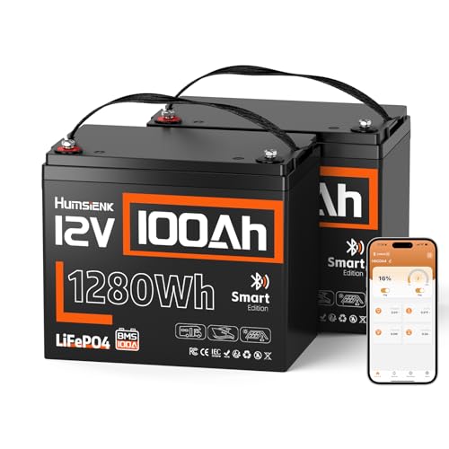 Image of HumsiENK 12V 100Ah LiFePO4 Lithium Battery with Bluetooth (Group 24), 15000+ Deep Cycles Battery, Built-in 100A BMS & Low-Temp Protection, Max. 1280 Energy for RV /Boat /Off-Grid, 2 PACK