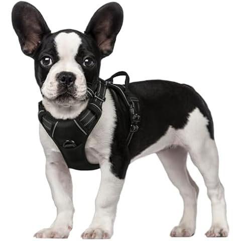 rabbitgoo Harnais Chien S Noir Cover