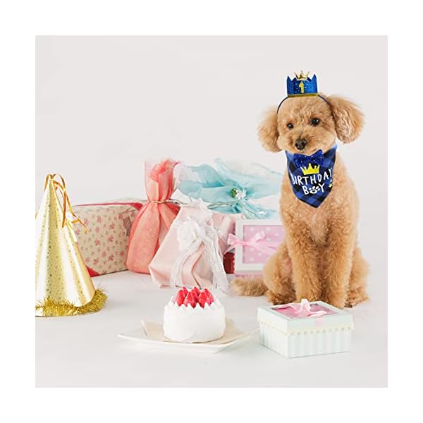 Dog birthday party supplies, boy dog birthday bandana set with cute dog bow tie, crown hat with numbers for small medium large dogs, blue dog birthday outfit (blue) - image 6