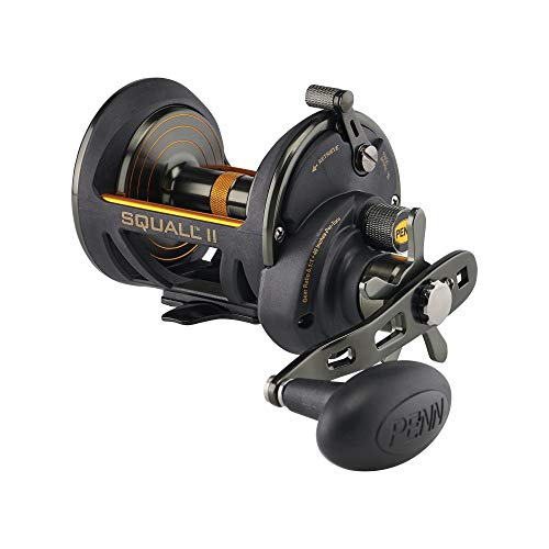 Penn Squall II Star Drag moulinet traîne mer tambour tournant lancer longue distance
