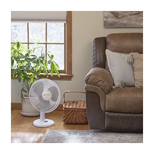 Comfort Zone JEN-619 Oscillating Table Fan With Adjustable Tilt, Convenient Push Button Controls, Quiet thumb #6