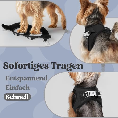 rabbitgoo Hundegeschirr Kleine Hunde, Step-in Welpengeschirr Weich Mesh für Spaziergänge, Atmungsaktives und Reflektierendes Brustgeschirr für Kleine und Mittelgroße Hunde, Schwarz, L