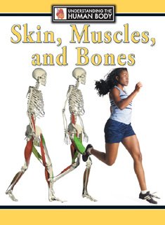 Skin, Muscles, and Bones (Understanding the Human Body): Parker, Steve ...