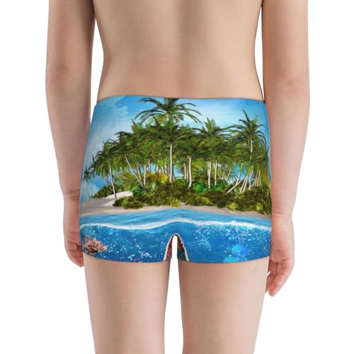 Boys' Cotton Boxer Brief Soft Underwear-Island And Coral Reef3
