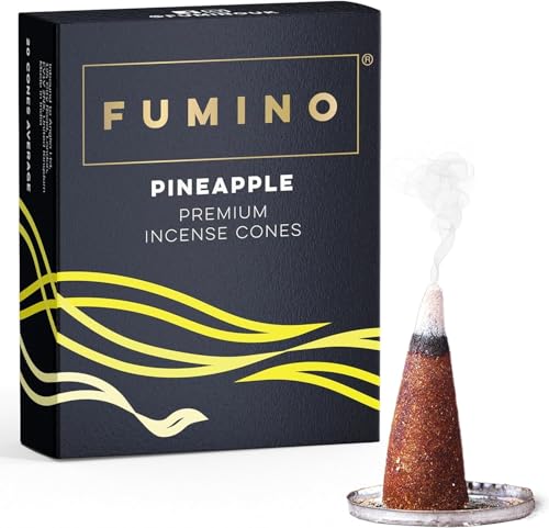 Fumino Räucherkegel mit frischem Duft Ananas – 1 Box à 15 Kegel...