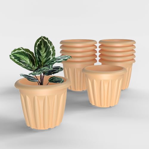 Image of YUCCABE ITALIA SHERA Floot Plastic Flower Pot Round Planter Suitable for Indoor Outdoor Kitchen Garden (Beige, 8 INCH - 12 Pcs)
