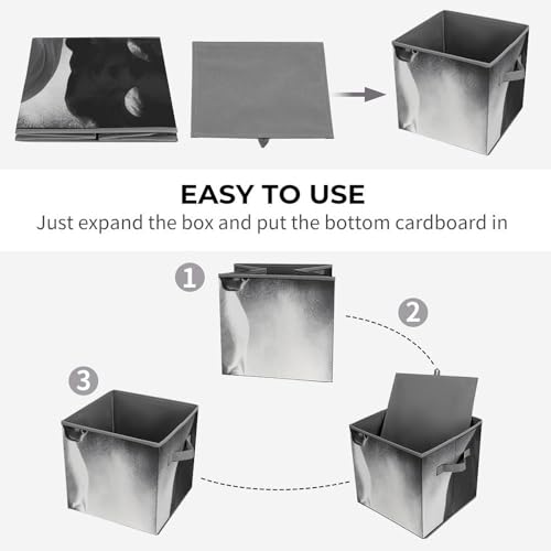 Cube de rangement pliable chevaux au design noir et blanc moderne - 5