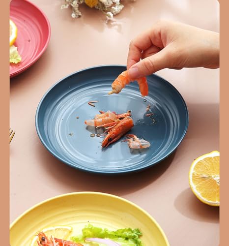 Image of Pepplo Serving Bowl for Soup, Noodle, Pasta, Camping, Picnic, Family Dinner, Salad, Cake, Ice Cream, Pho, Oatmeal, Cereal, Snack, Melamine, Biryani Microwave Safe (20cm+23cm, Blue, Pack of 4)