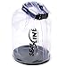 SealLine EcoSee Clear Dry Bag
