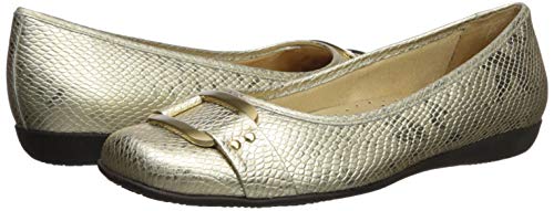 Image of Trotters Sizzle Signature