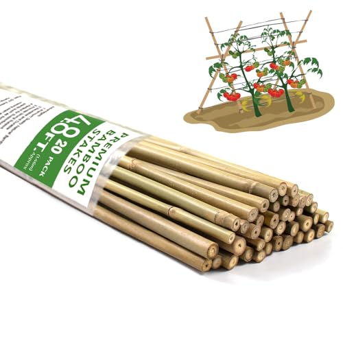 Bamboo Stakes,4.8FT Natural Bamboo Garden Stakes,BOVITRO 20Pcs Plant Stakes,Bamboo Sticks for Tomato,Beans,Vegetable and Climbing Plants