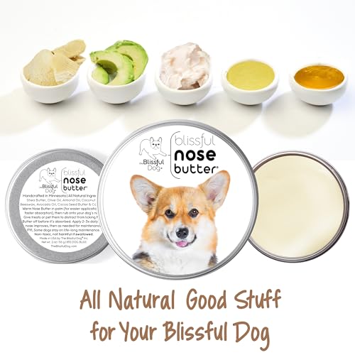 Image of The Blissful Dog Corgi Unscented Nose Butter, 4-Ounce