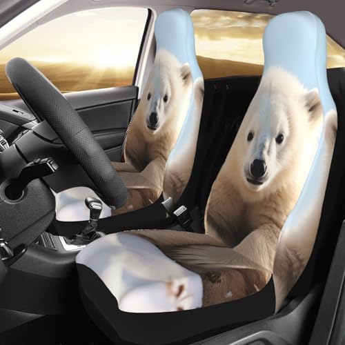 Housses de siège de voiture usés : protégez vos sièges avant avec l'ours polaire