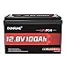12V 100Ah LiFePO4 Lithium Battery,1280Wh Group 31 Rechargeable Lithium Iron Phosphate Battery 100A BMS 6000+ Cycles,Ideal For RV,Solar Power,Home Energy Storage