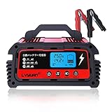 リョクエン(LVYUAN) 全自動パルスバッテリー充電器 25A スマートチャージャー 12V / 24V 対応 バッテリー診断機能付 フロート充電 パルス充電 AGM/GELバッテリー対応 カーバッテリー・バイクバッテリー 自動車・農機・建設機械・小型船舶などにも！ （型式：DC250）