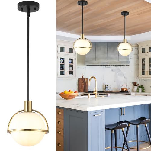 Yuniexuber Modern Mid Century Globe Pendant Light,Brass Gold and Black