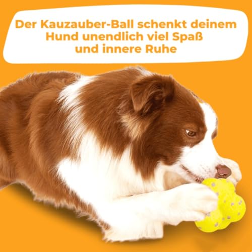 Donubiiu Kauzauber Ball, Hundeball-Spielzeug für Aggressive Kauer, für Große, Mittelgroße, Kleine Hunde
