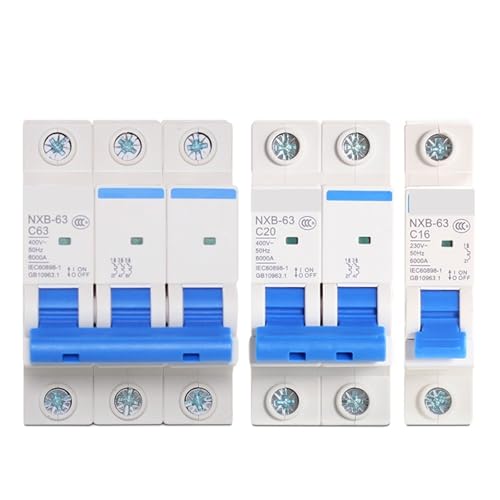 Disjoncteur miniature NXB-63 2P 80A pour éviter les coupures de courant général