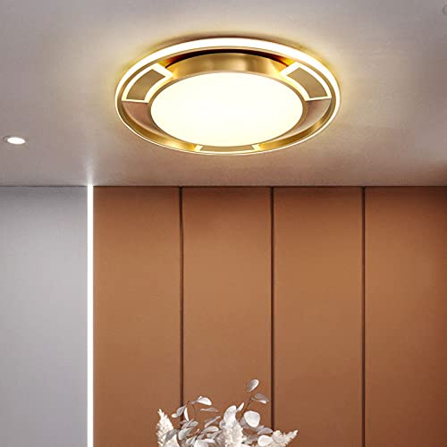 Plafonnier doré 65W variable au design circulaire créatif pour éclairage salon