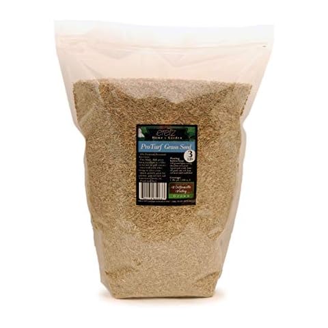 ProTurf Perennial Ryegrass Fine Lawn Seed by Eretz (3lb) - Choose Size! Premium Willamette Valley, Oregon Grown Grass Seed Cover