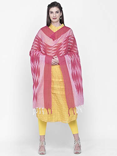 Image of DUPATTA BAZAAR Woman's Embellished Net Dupatta