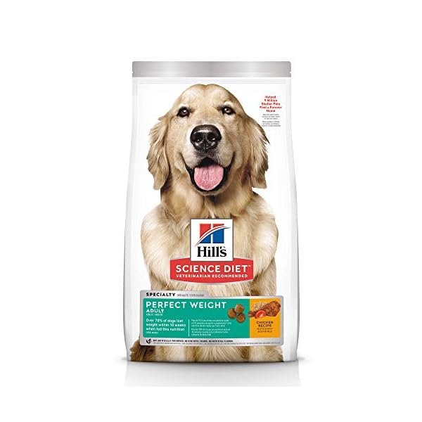 Hill’s Science Diet Adult Perfect Weight Chicken Recipe Dry Dog Food for healthy weight and weight management, 15 lb Bag Hill’s Science Diet Adult Perfect Weight Chicken Recipe Dry Dog Food for healthy weight and weight management, 15 lb Bag