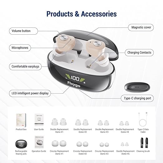 Diagram of Flaygo GM-953 hearing aid components and accessories